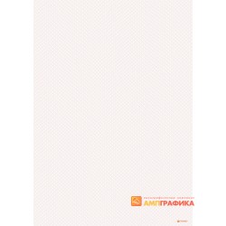№ 1067 бланк с простой сеткой