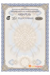 Бланк 1
