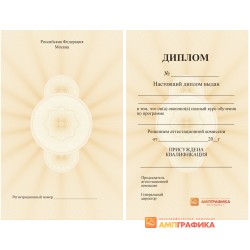 Вкладыш в диплом арт. 1329