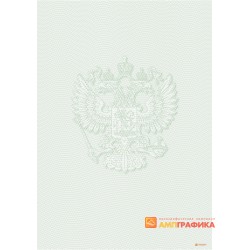 № 1294 бланк лицензии на оборудование