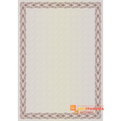 № 1250 бланк диагностического талона