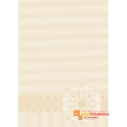 Бланк с защитой арт. 114