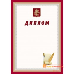 Диплом поздравительный с персонализацией арт. 566
