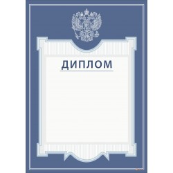 Диплом учреждения арт.  532