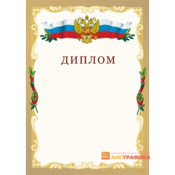 Диплом российский арт. 519