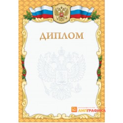 Диплом почетного арт. 503