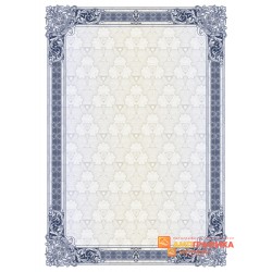 № 1305 бланк с защитой для грамоты