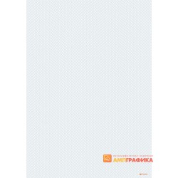 Бланк с защитой арт. 123