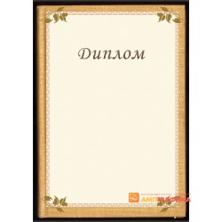 Диплом  поздравительного с текстурой книги арт. 568