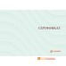 Бланк сертификата о повышении квалификации арт. 1510