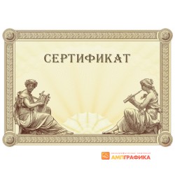 Сертификат для делового письма арт. 1174