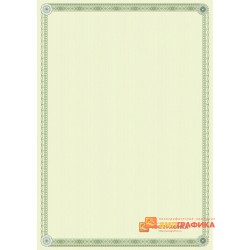 Бланк с защитой арт. 102