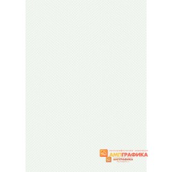 Бланк с защитой арт. 112