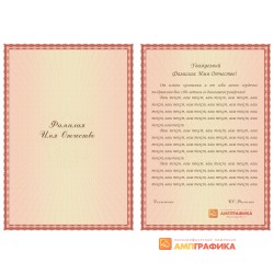 Вкладыш для адреса арт. 2010
