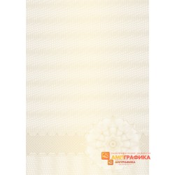 № 1162 бланк фирменный