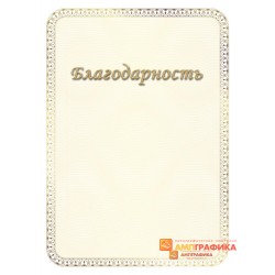 Благодарность с золотой рамкой арт. 795