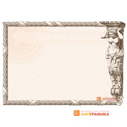 № 1138 бланк сертификата об обучении