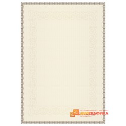 Бланк с защитой арт. 105
