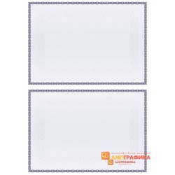 № 1095 бланк сертификата формата А5