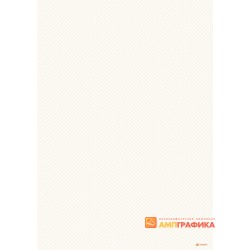№ 1069 бланк с защитной сеткой