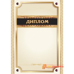 Диплом вертикальный арт. 539