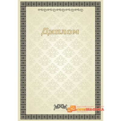 Диплом корпоративный арт. 534
