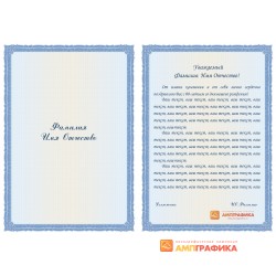 Вкладыш для адреса арт. 2013
