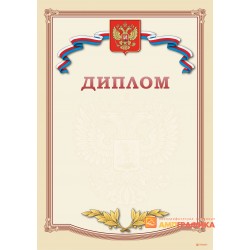 Диплом поздравительного арт. 505